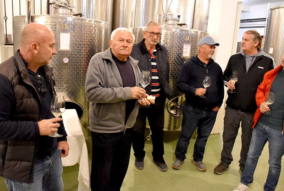 Martinjsko kušanje mladih vina