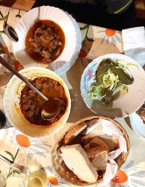 [FOTOZABILJEŠKA] Druženje čaglinskih i brestovačkih šahista na Sovskom jezeru