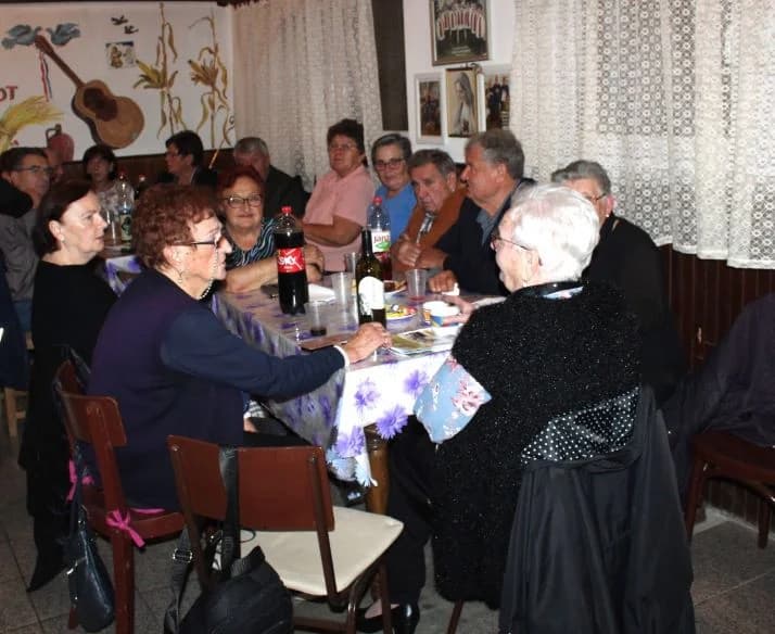 MATICA UMIROVLJENIKA GRADA PLETERNICE: Uz pjesmu i ples proslavili Martinje