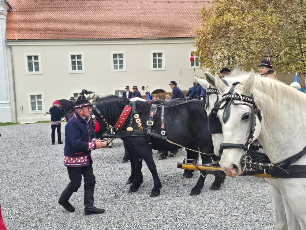 Nikad veći broj planinara, izlagača i posjetitelja na ovogodišnjem Martinje u Kutjevu koje će mnogima u dubokom sjećanju