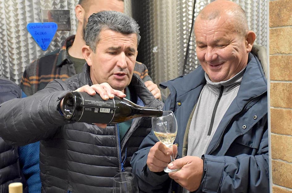 KUTJEVAČKI VINARI OTVORILI PODRUME:  Graševini u pohode ljubitelji sa svih strana