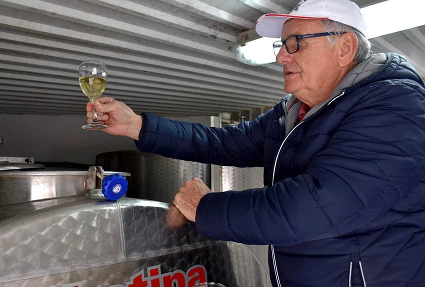 MARTINJSKI POHOD VINARU PERIĆU U VELIKOJ: Vinar „S gore koja pamti more”
