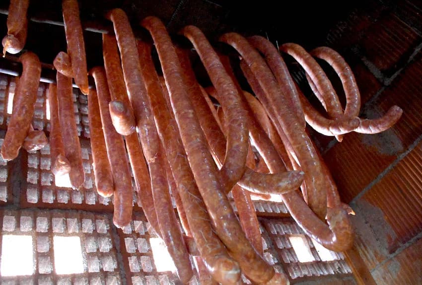 KOLINJE KOD POŽEŠKOG VINOGRADARA BRANKA SMOLIĆA:  Neizostavni slavonski običaj