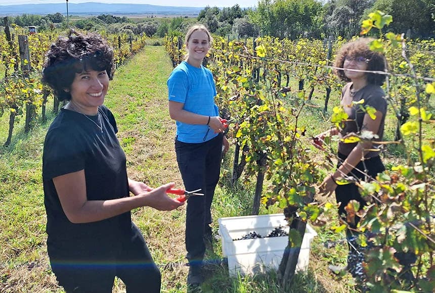 U berbi kod Sontakijevih sudjelovali volonteri iz više zemalja koji borave u Eko centru Latinovac /FOTO/