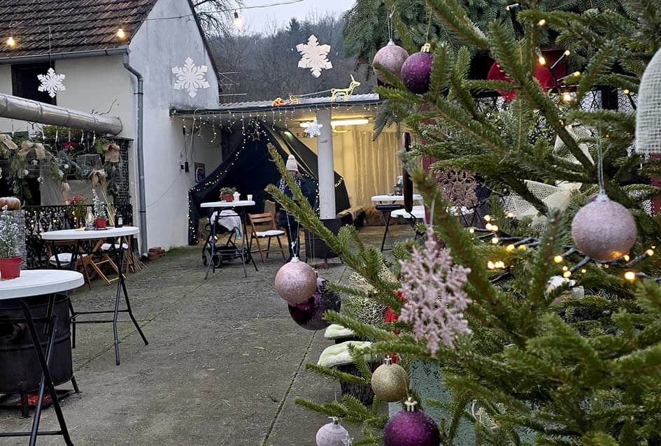 Okupilo se više od stotinu rođaka prigodom blagdanskog druženja kod obitelji Bušić u Srednjem Selu: ʼIdeju koja je tinjala godinama konačno smo realiziraliʼ