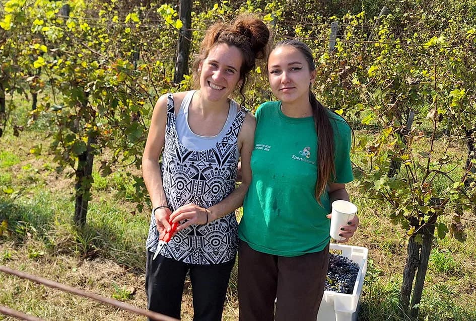 U berbi kod Sontakijevih sudjelovali volonteri iz više zemalja koji borave u Eko centru Latinovac /FOTO/