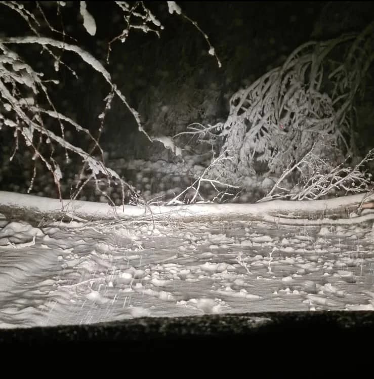 Kolaps na Krndiji: Na cesti prema Našicama palo drvo na autobus, kamion zaglavio u snijegu, cesta od Kutjeva prema Orahovici zatvorena…