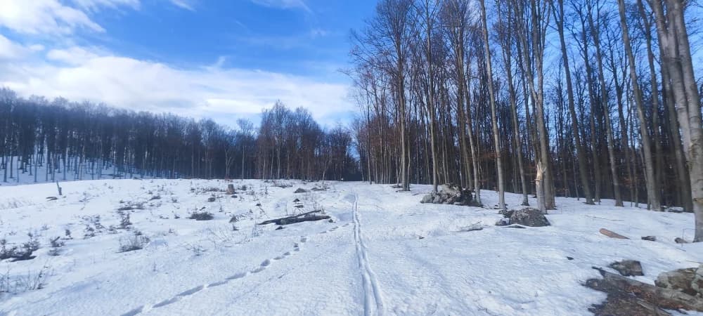 Skijanje u Austriji nekima nije skupo, ali je jeftinije na Papuku