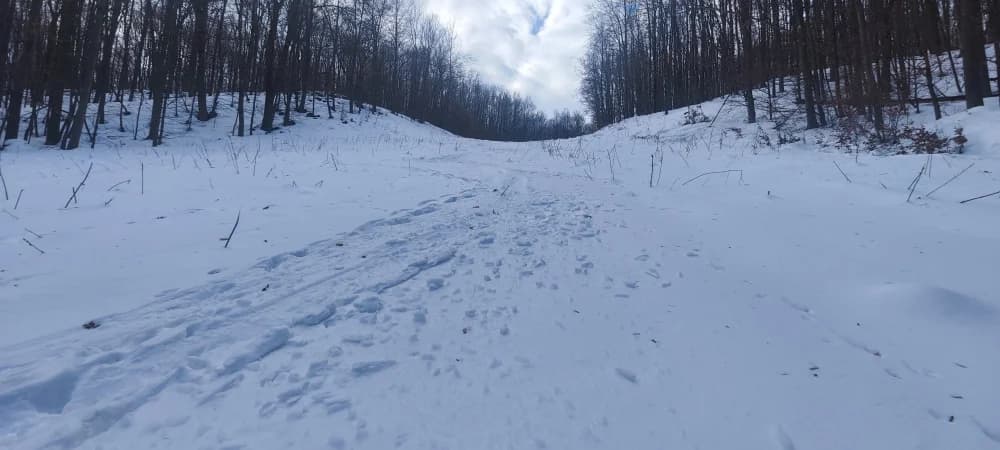 Skijanje u Austriji nekima nije skupo, ali je jeftinije na Papuku
