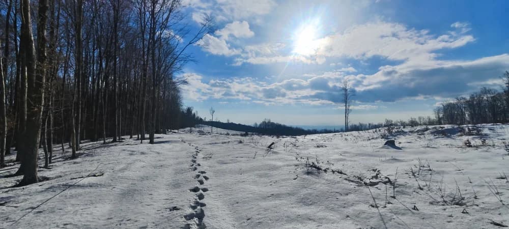 Skijanje u Austriji nekima nije skupo, ali je jeftinije na Papuku