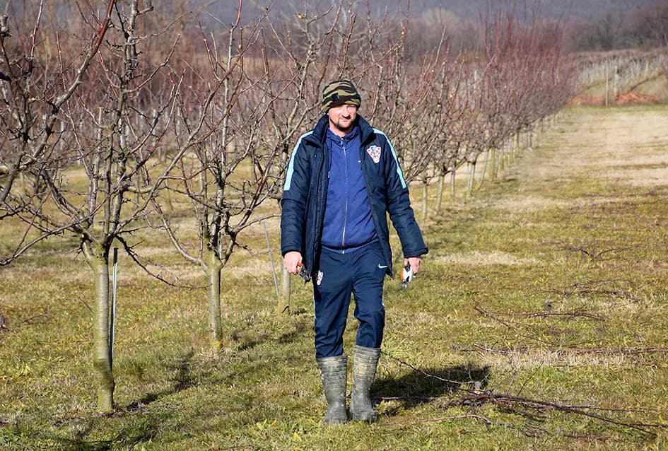 RADOVI U ŠLJIVIKU OBITELJI MITROVIĆ IZ LUKAČA: Rezidbom određuju urod