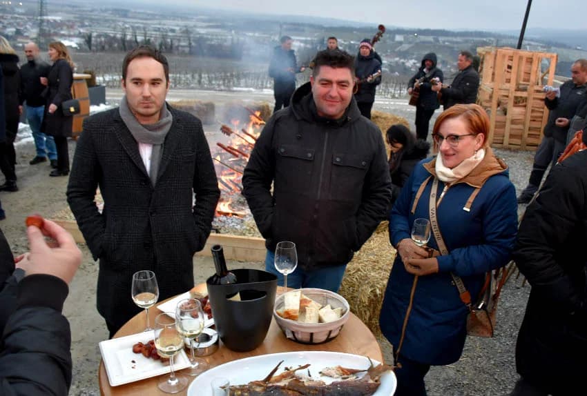 PROSLAVA VINCELOVA: Orezani prvi trsovi u vinogradima Kutjeva d.d. i time započela nova vinogradarska godina