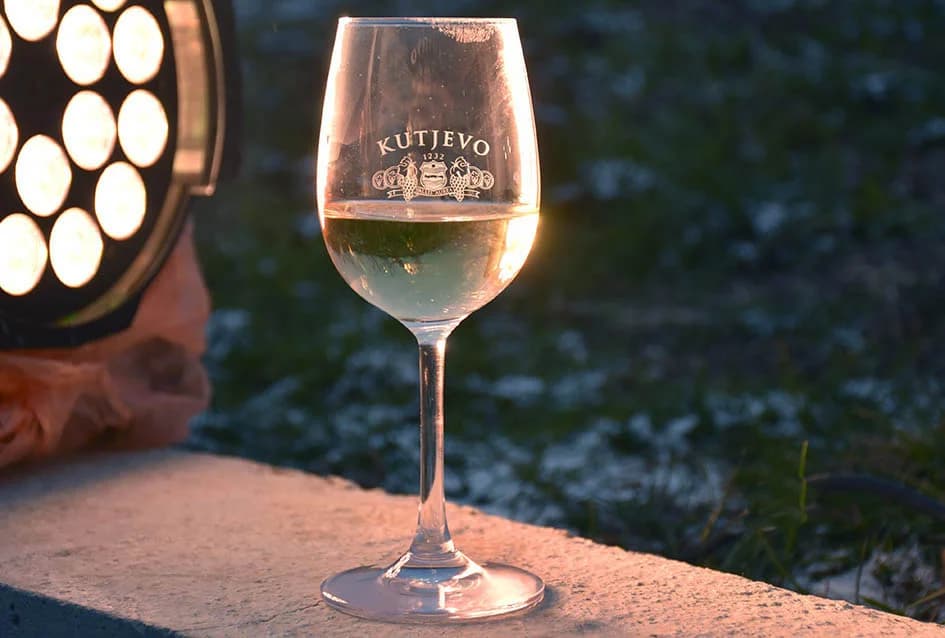 PROSLAVA VINCELOVA: Orezani prvi trsovi u vinogradima Kutjeva d.d. i time započela nova vinogradarska godina