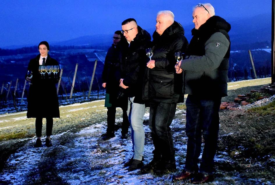 PROSLAVA VINCELOVA: Orezani prvi trsovi u vinogradima Kutjeva d.d. i time započela nova vinogradarska godina