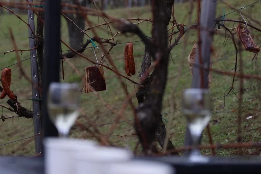 Na Požeškoj gori uz orezivanje trsova loze i blagoslov nazdravljeno novoj vinogradarskoj godini