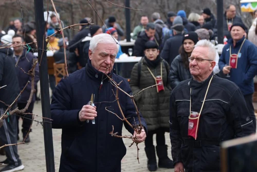 Na Požeškoj gori uz orezivanje trsova loze i blagoslov nazdravljeno novoj vinogradarskoj godini