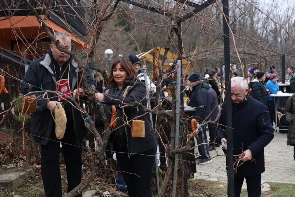 Na Požeškoj gori uz orezivanje trsova loze i blagoslov nazdravljeno novoj vinogradarskoj godini