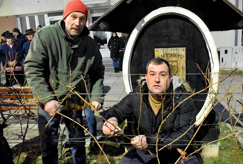 ODRŽANO TRADICIONALNO VINCELOVO UKUTJEVU: Okupili se ljubitelji tradicije i vrhunske vinske kapljice
