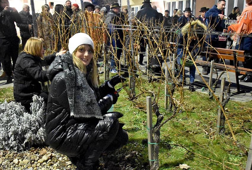 ODRŽANO TRADICIONALNO VINCELOVO UKUTJEVU: Okupili se ljubitelji tradicije i vrhunske vinske kapljice