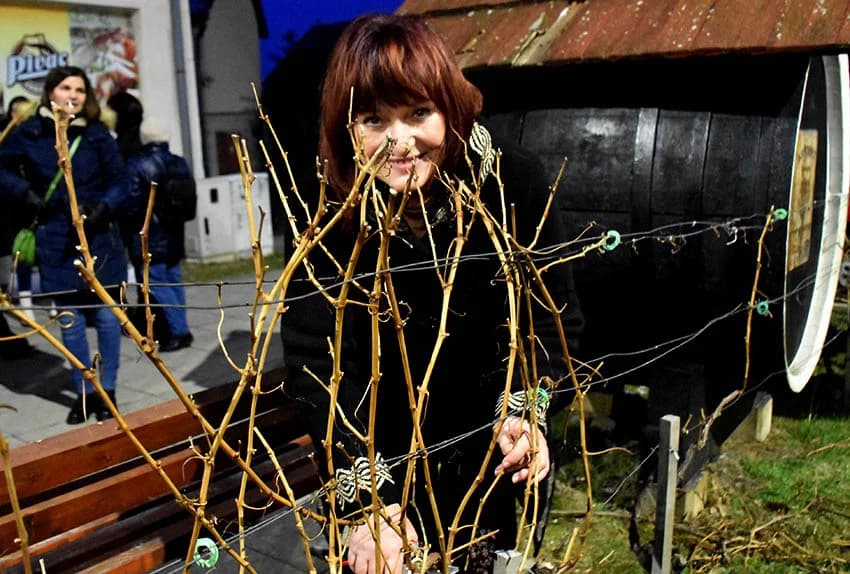 ODRŽANO TRADICIONALNO VINCELOVO UKUTJEVU: Okupili se ljubitelji tradicije i vrhunske vinske kapljice