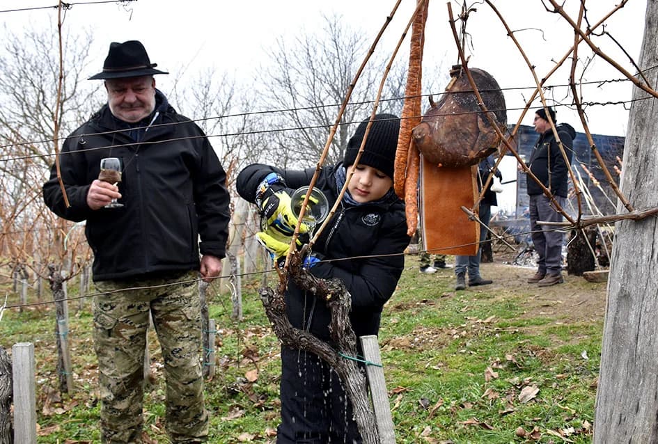 VINCELOVO NA VINKOMIRU SLAVIO DRAGO MAJSTOROVIĆ:  Zaželjeli obilan urod i kvalitetu graožđa