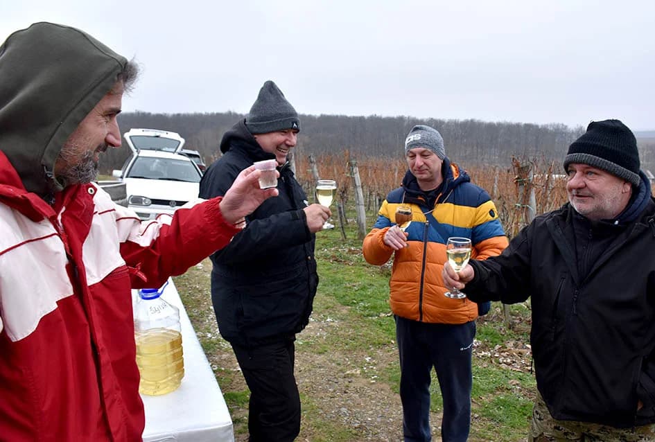 VINCELOVO NA VINKOMIRU SLAVIO DRAGO MAJSTOROVIĆ:  Zaželjeli obilan urod i kvalitetu graožđa