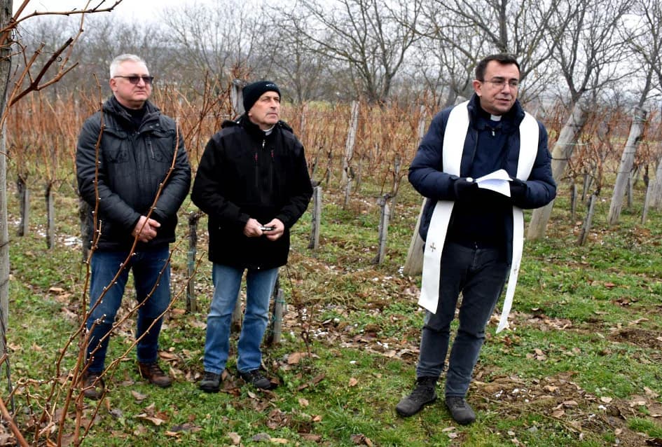VINCELOVO NA VINKOMIRU SLAVIO DRAGO MAJSTOROVIĆ:  Zaželjeli obilan urod i kvalitetu graožđa