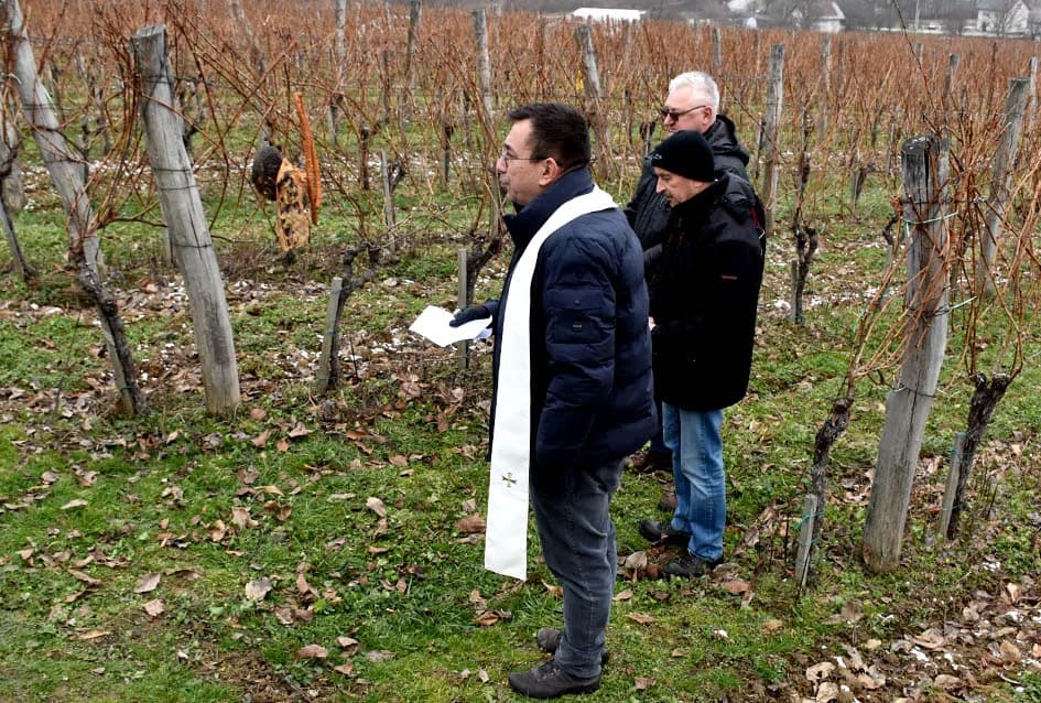 VINCELOVO NA VINKOMIRU SLAVIO DRAGO MAJSTOROVIĆ:  Zaželjeli obilan urod i kvalitetu graožđa