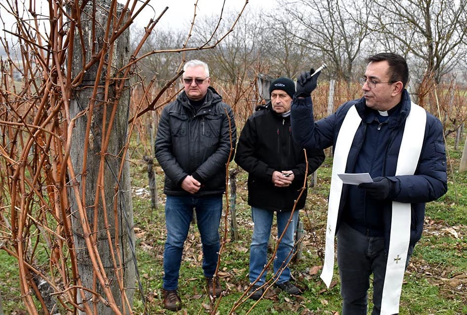 VINCELOVO NA VINKOMIRU SLAVIO DRAGO MAJSTOROVIĆ:  Zaželjeli obilan urod i kvalitetu graožđa