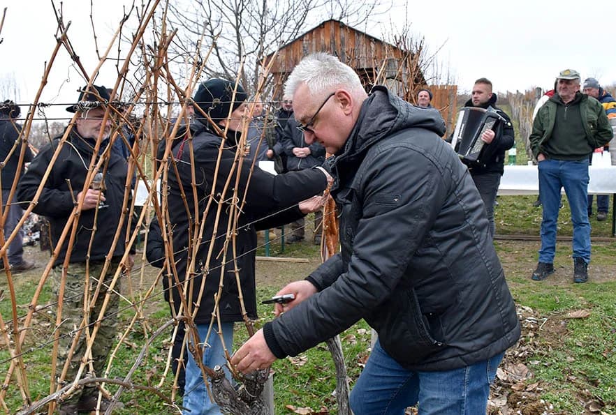 VINCELOVO NA VINKOMIRU SLAVIO DRAGO MAJSTOROVIĆ:  Zaželjeli obilan urod i kvalitetu graožđa