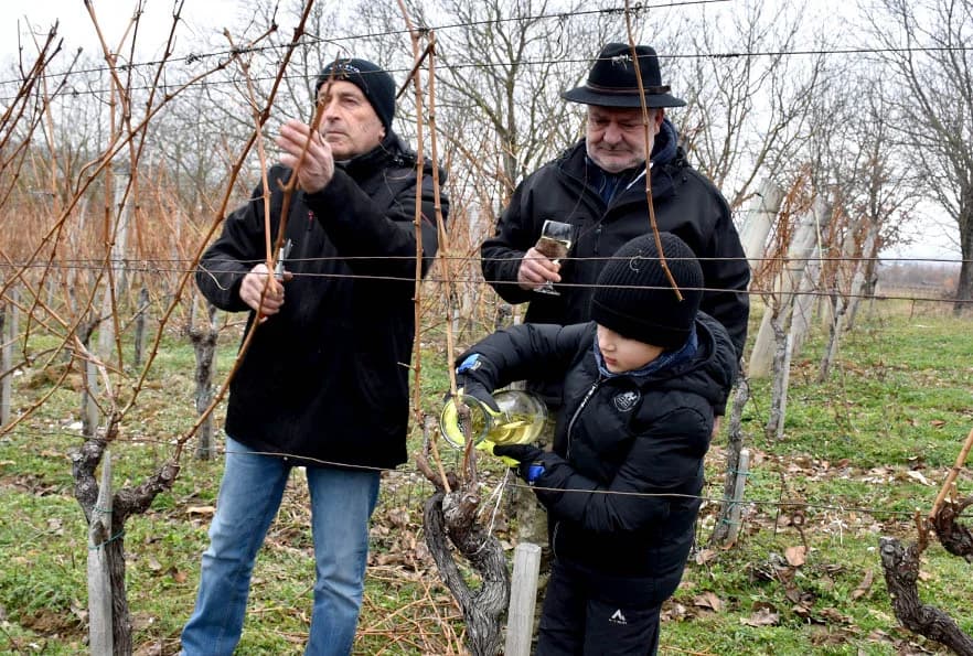 VINCELOVO NA VINKOMIRU SLAVIO DRAGO MAJSTOROVIĆ:  Zaželjeli obilan urod i kvalitetu graožđa