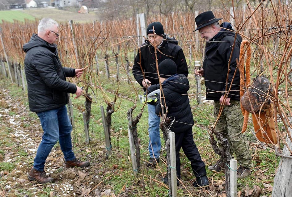 VINCELOVO NA VINKOMIRU SLAVIO DRAGO MAJSTOROVIĆ:  Zaželjeli obilan urod i kvalitetu graožđa