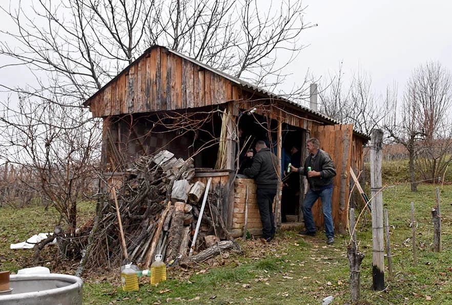 VINCELOVO NA VINKOMIRU SLAVIO DRAGO MAJSTOROVIĆ:  Zaželjeli obilan urod i kvalitetu graožđa