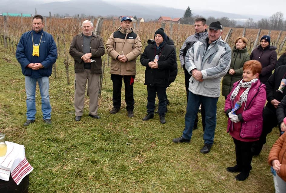 LUKAČANI NAJAVILI POČETAK RADOVA U VINOGRADU: S gostima podijelili radost Vincelova