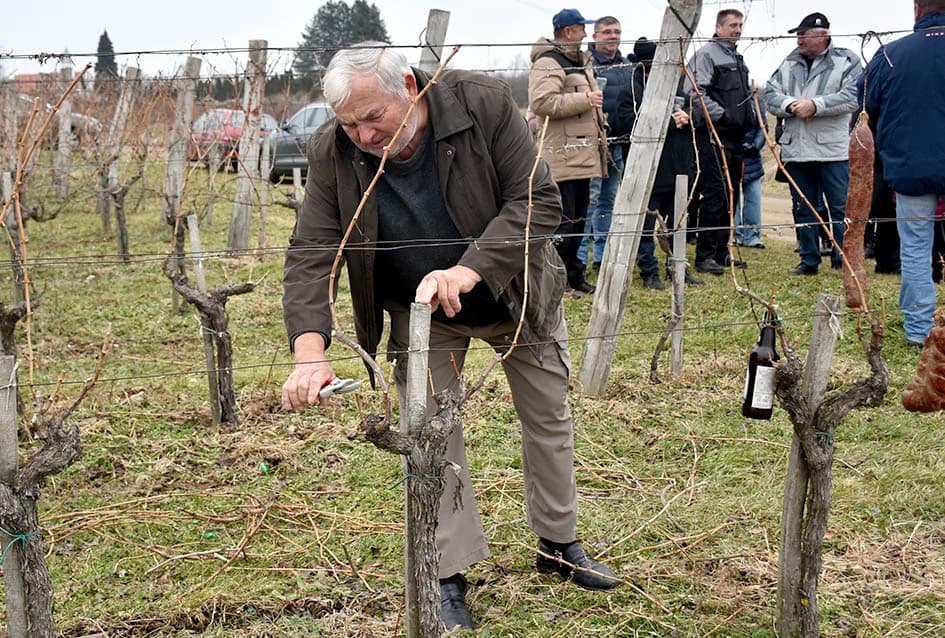 LUKAČANI NAJAVILI POČETAK RADOVA U VINOGRADU: S gostima podijelili radost Vincelova