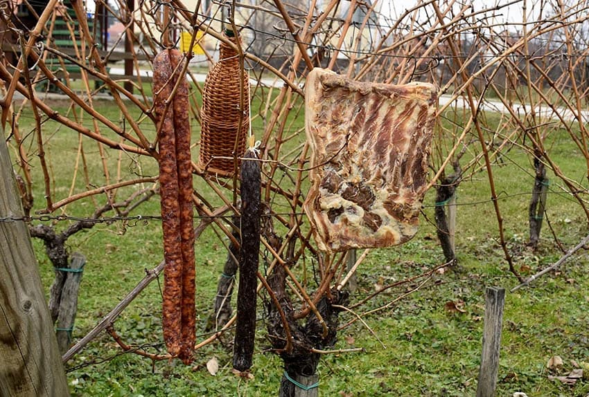 VINCELOVO OBILJEŽILA UDRUGA “VINO-KAP” IZ KAPTOLA: Lozu orezali Branko i Zvonimir