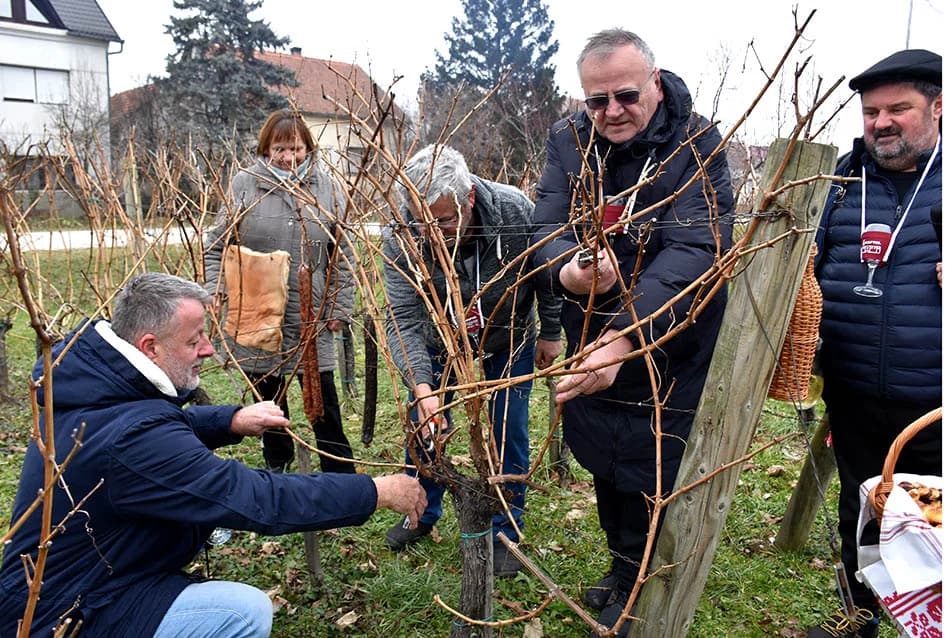 VINCELOVO OBILJEŽILA UDRUGA “VINO-KAP” IZ KAPTOLA: Lozu orezali Branko i Zvonimir