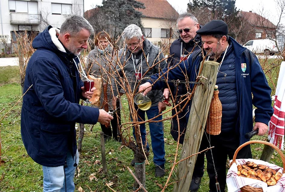 VINCELOVO OBILJEŽILA UDRUGA “VINO-KAP” IZ KAPTOLA: Lozu orezali Branko i Zvonimir