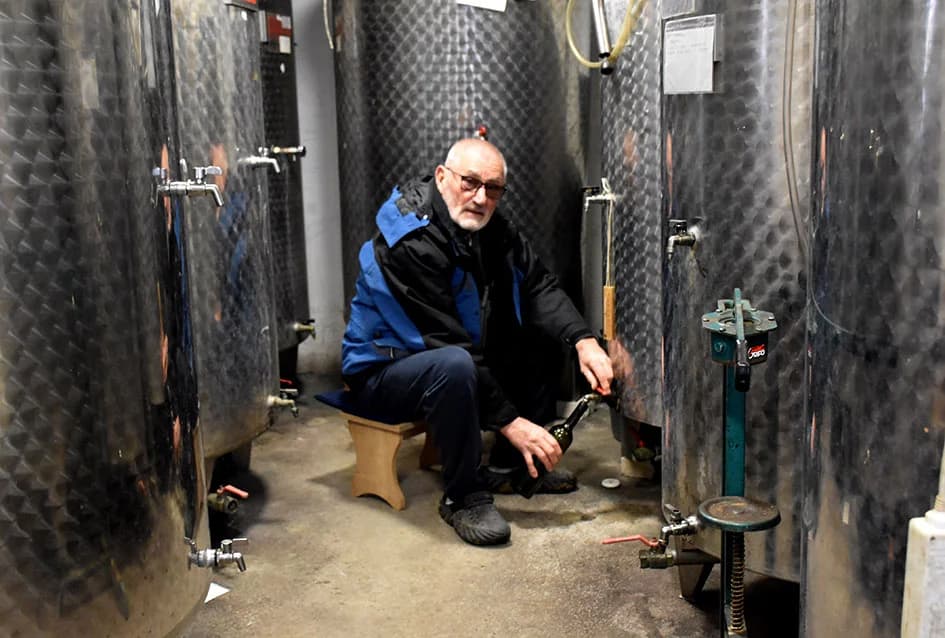 Uz graševinu za Vincelovo i merlot kod obitelji Vlaste i Nenada Ostojića