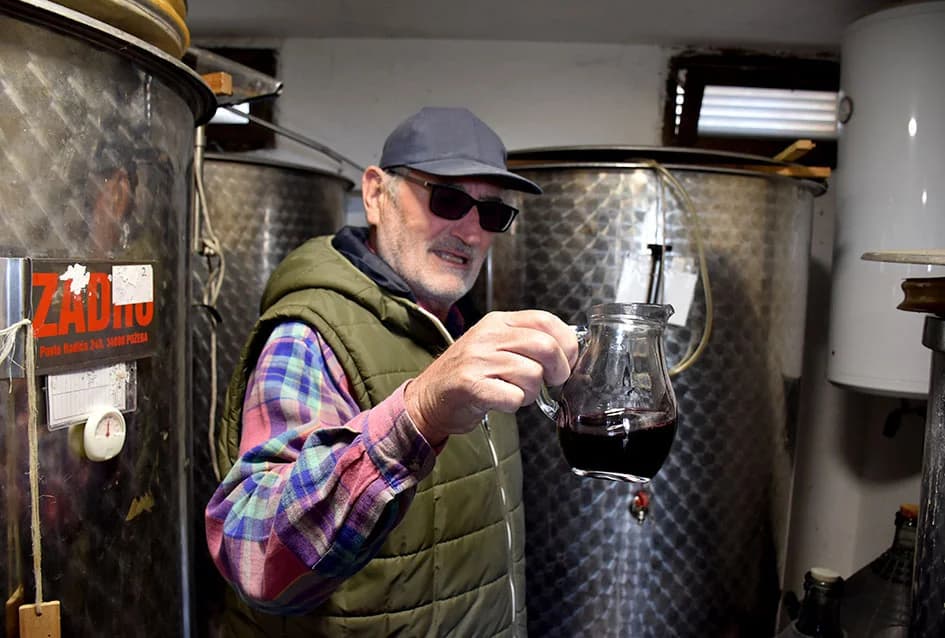 Uz graševinu za Vincelovo i merlot kod obitelji Vlaste i Nenada Ostojića