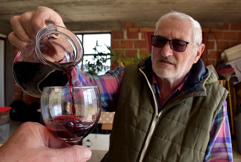 Uz graševinu za Vincelovo i merlot kod obitelji Vlaste i Nenada Ostojića