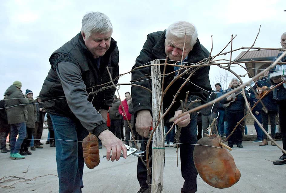 VINCELOVO KOD ENJINGIJA U HRNJEVCU: Stjepan Mesić i brojni uzvanici slavili početak radova u vinogradu