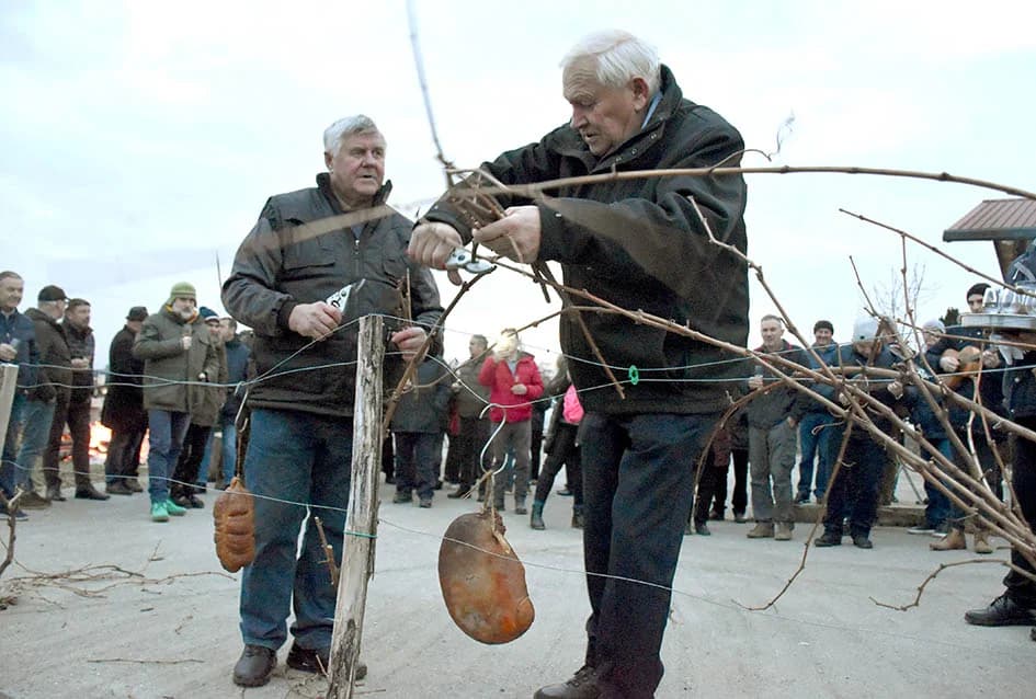 VINCELOVO KOD ENJINGIJA U HRNJEVCU: Stjepan Mesić i brojni uzvanici slavili početak radova u vinogradu