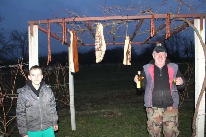 Vincelovo u vinogradu Ante Tomića u Pleterničkom vinogorju