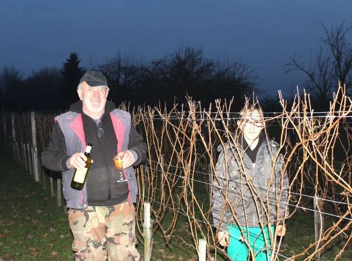 Vincelovo u vinogradu Ante Tomića u Pleterničkom vinogorju