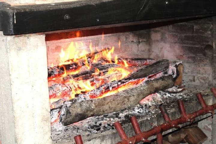 Vincelovo u vinogradu Ante Tomića u Pleterničkom vinogorju