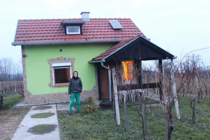 Vincelovo u vinogradu Ante Tomića u Pleterničkom vinogorju