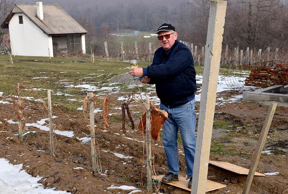 (F O T O) VINCELOVO U KAPTOLAČKIM VINOGRADIMA: Otvorene vatre, okićeni čokoti…