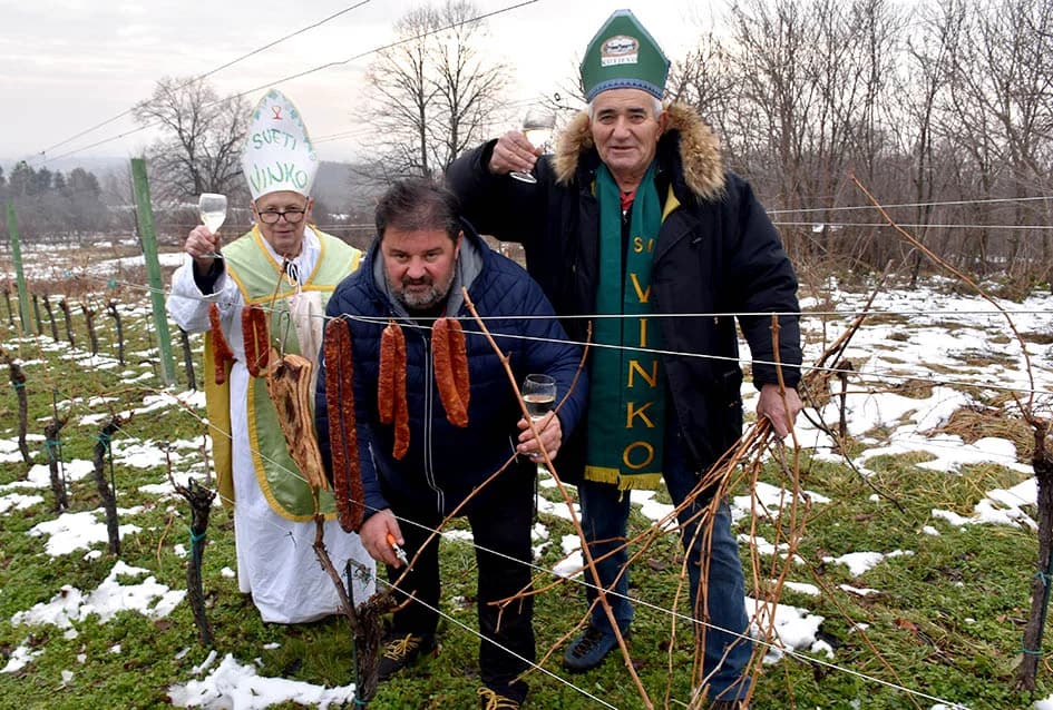 (F O T O) VINCELOVO U KAPTOLAČKIM VINOGRADIMA: Otvorene vatre, okićeni čokoti…