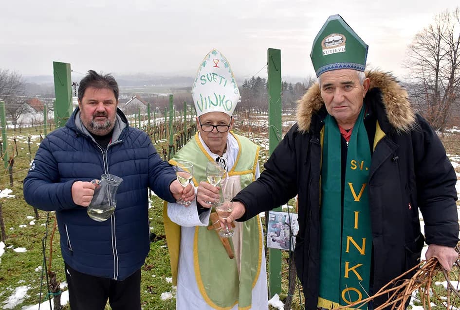 (F O T O) VINCELOVO U KAPTOLAČKIM VINOGRADIMA: Otvorene vatre, okićeni čokoti…